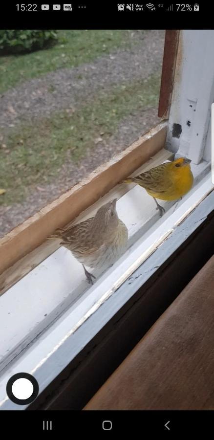 Chale Espelhado No Itaimbezinho Villa Praia Grande  Eksteriør billede